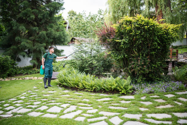 Best Commercial Pest Control Services  in Airy Heights, WA