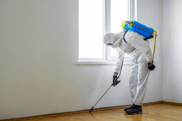 Best Best Pest Control Companies  in Airy Heights, WA